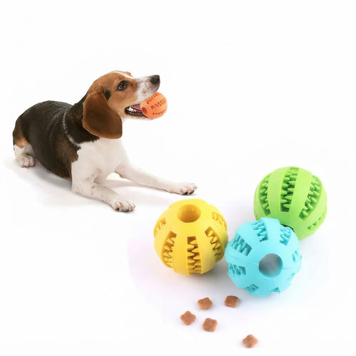 Treat-Dispensing Chew Ball & Teeth Cleaner for Dogs & Cats