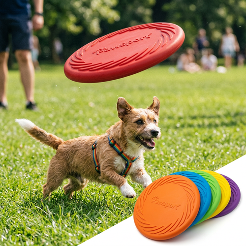 Flexible Silicone Flying Disc for Dogs