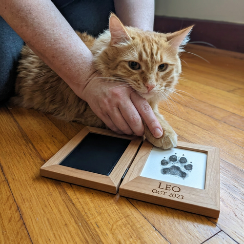 Inkless Pet Keepsake Impression Set