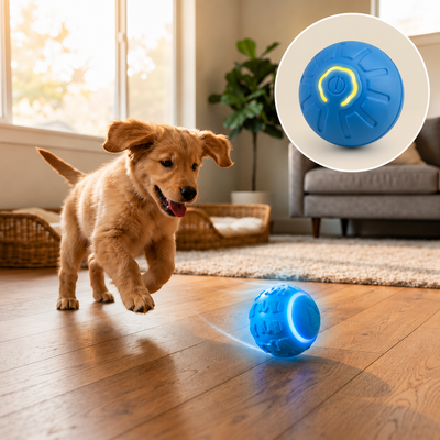 Automatic High-Bounce Rubber Bouncy Ball for Pets