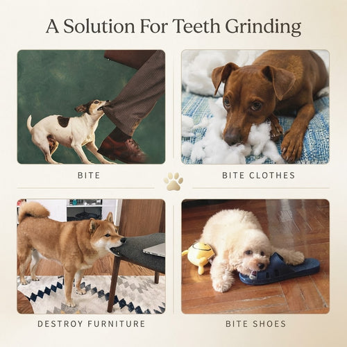 Treat-Dispensing Chew Ball & Teeth Cleaner for Dogs & Cats