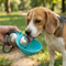 2-in-1 Portable Dog Water Bottle for Small Dogs - Leak-Proof Stainless Steel & Silicone Compact Travel Flask