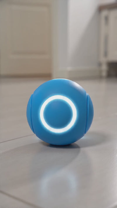 Automatic High-Bounce Rubber Bouncy Ball for Pets